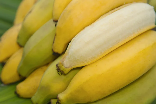 Bos van bananen geïsoleerde — Stockfoto