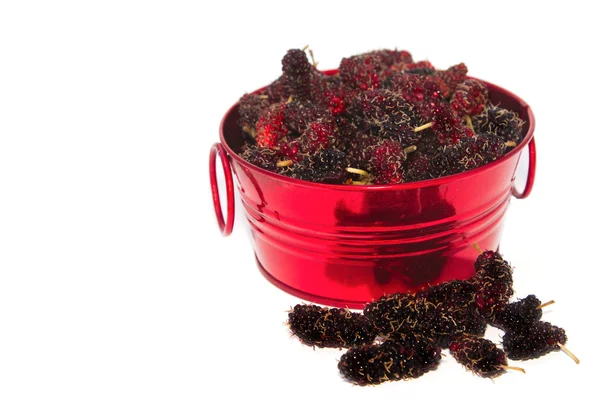 Fresh mulberry in red bowl — Stock Photo, Image