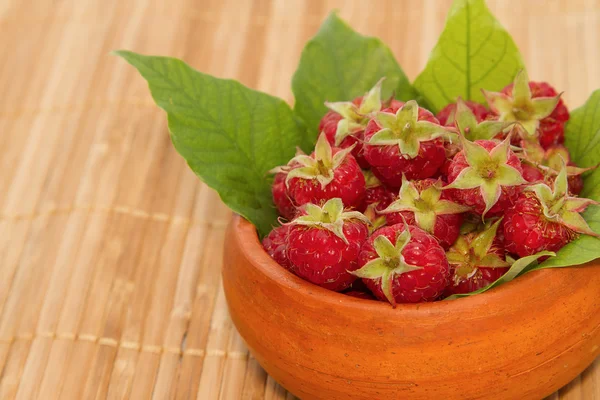 Ripe raspberries in the bowl — Stock Photo, Image
