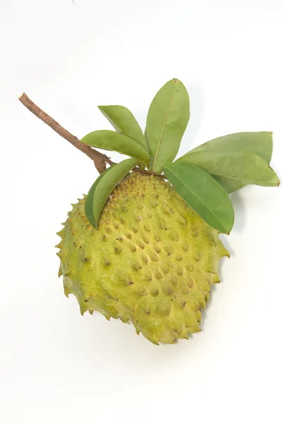 Taggannona, taggig vaniljsås äpple frukt. (annona muricata l.) — Stockfoto