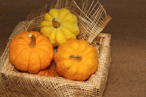 Small pumpkin in crate — Stock Photo, Image