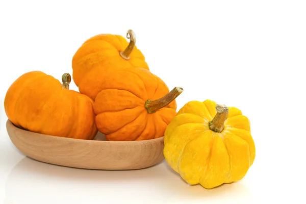 Fresh small pumpkin — Stock Photo, Image