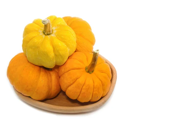 Piccola zucca fresca — Foto Stock