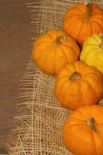 Pequeña calabaza sobre el fondo de madera —  Fotos de Stock