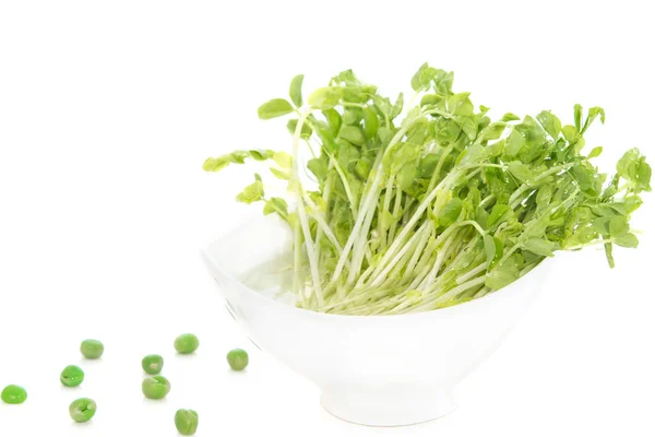 Snow Pea Sprouts in white bowl with green pea — Stock Photo, Image