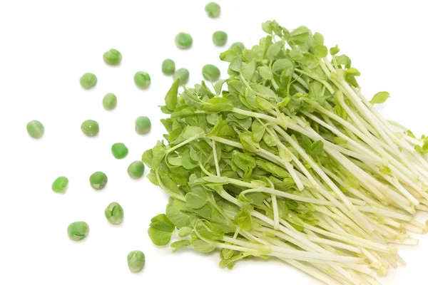 Snow Pea Sprouts with green pea — Stock Photo, Image