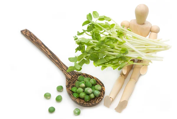 Green pea and snow pea sprouts on wooden model ,healthy green ve — Stock Photo, Image