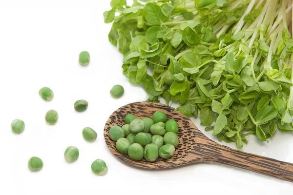 Green pea with snow pea sprouts ,healthy green vegetable — Stock Photo, Image