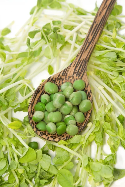 Green pea in the wooden spoon with snow pea sprouts — Stock Photo, Image