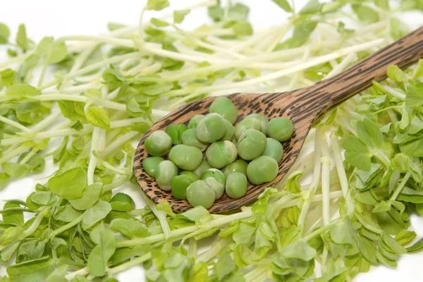 Green pea in the wooden spoon with snow pea sprouts — Stock Photo, Image