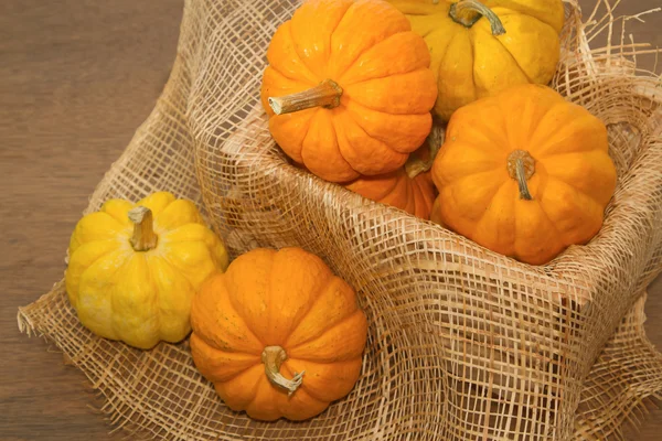 Calabaza pequeña en cajón, verduras saludables — Foto de Stock