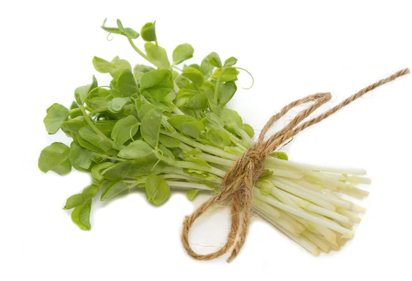 Snow Pea Sprouts — Stock Photo, Image