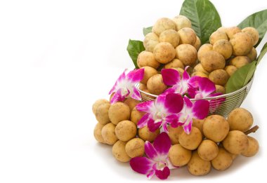 longkong sandık, Tay meyve yaprak zemin üzerine yapılan