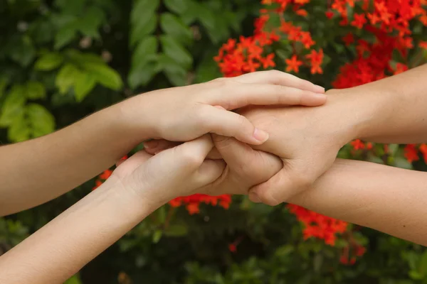 Hands of mother and daughter holding together — Stock Photo, Image