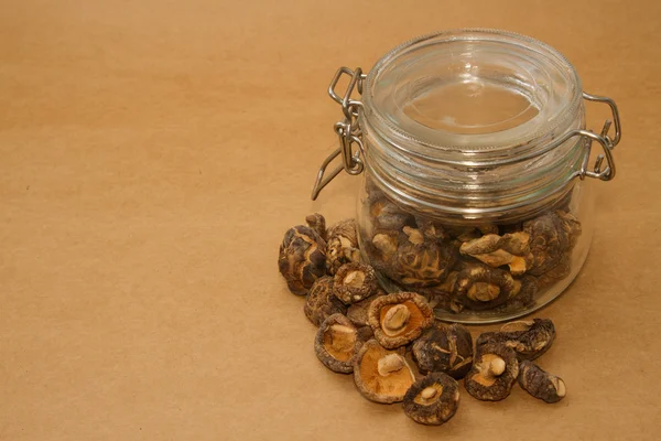 Dry shiitake mushrooms isolated — Stock Photo, Image