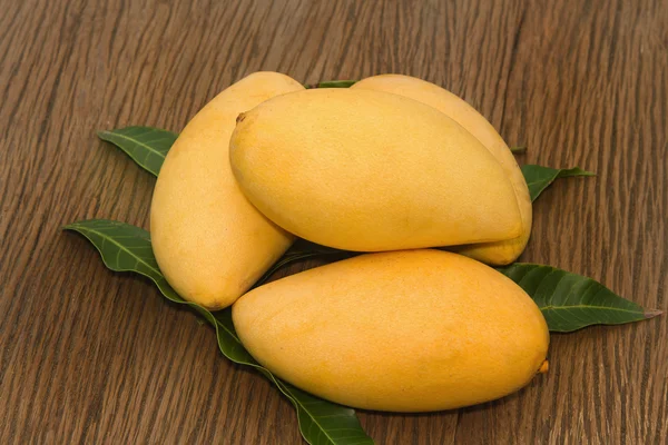 Złoty mango — Zdjęcie stockowe