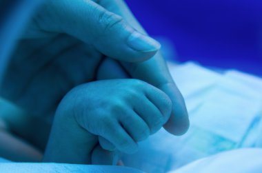 Prematüre bebeğin el annesinin parmak hassasiyet ile tutarak