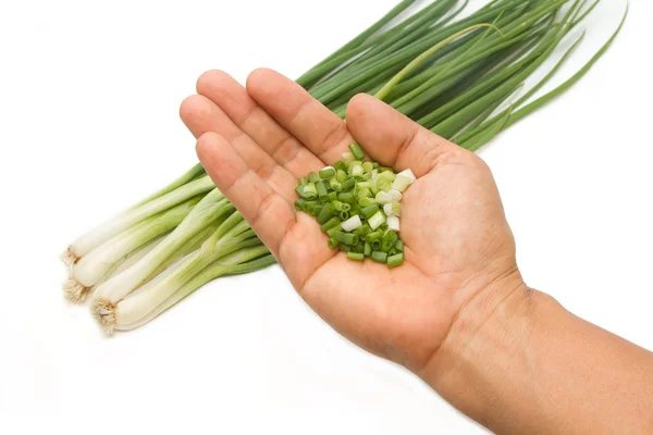 Chopped green onions in hand — Stock Photo, Image