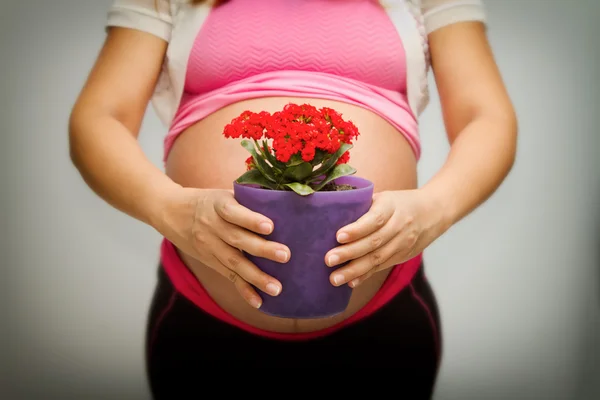 Pregnancy woman giveing a flower pot — Stock Photo, Image
