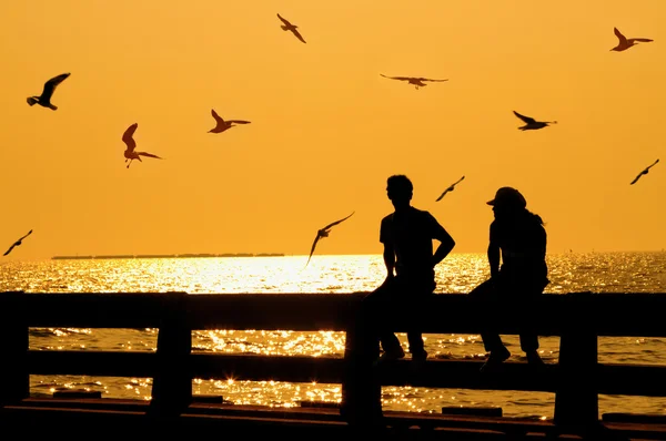 Silhouette of couple with birds on bridge in sunset — Stock Photo, Image