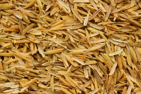 Rice husk,cultivating materials — Stock Photo, Image