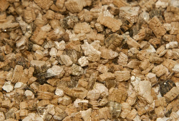 Vermiculite utilizzata nelle piante da vaso — Foto Stock