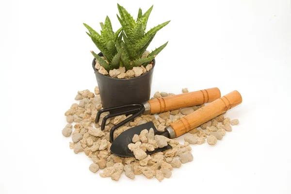 Pimpsten stenar i cray potten och trädgårdsarbete verktyg — Stockfoto