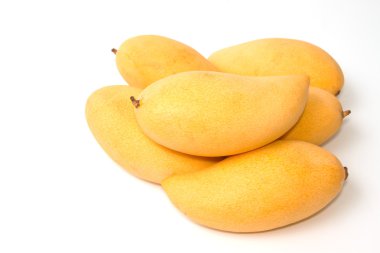 taze olgun Mango 