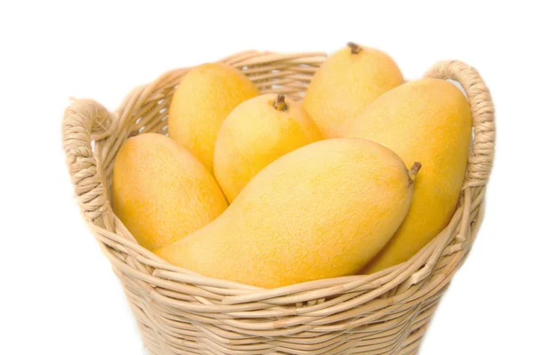 Closeup ripe mangoes in basket — Stock Photo, Image