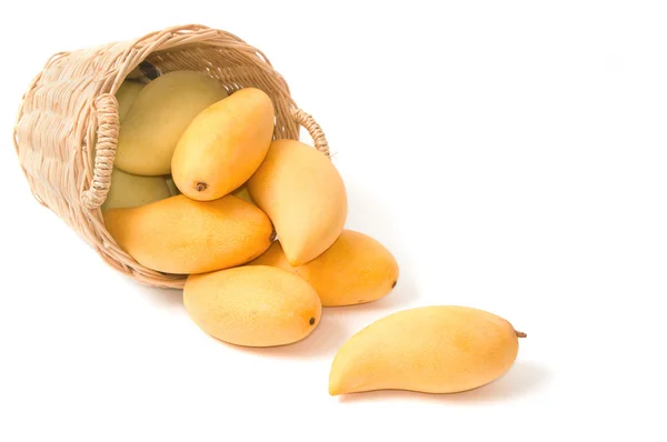 Closeup ripe mangoes in basket — Stock Photo, Image