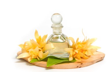 temel aroma yağı ile champaka çiçek