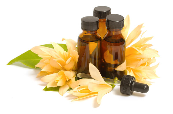 Golden champaka absolute with champaka flower