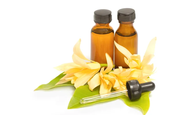 Essential aroma oil with champaka flower — Stock Photo, Image