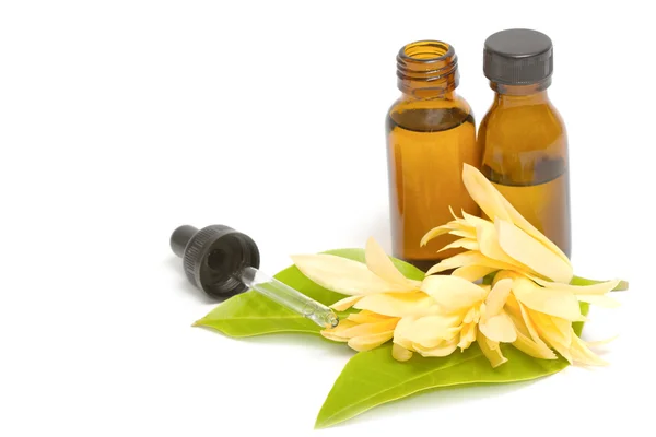 Essential aroma oil with champaka flower — Stock Photo, Image