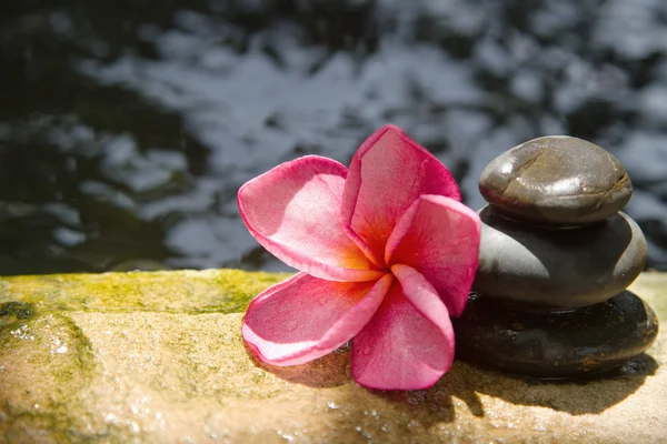 Concepto de spa zen basalto piedras —  Fotos de Stock