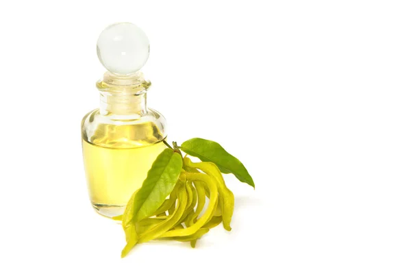 Olio da massaggio all'aroma di ylang-ylang — Foto Stock