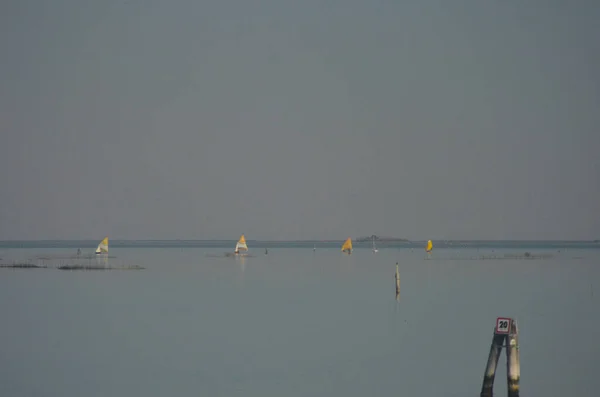 Small Boats Yellow Sails Calm Bay Sky Overcast Island Patches — стоковое фото