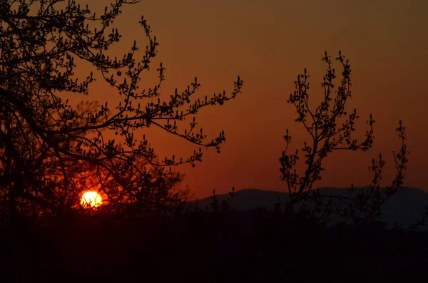 The orb of the setting sun is visible through the dark branches of some trees. Hills are in the distance. The sky is various shades of orange.