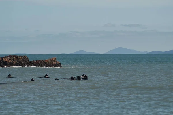 Los Polos Baño Red Oceánica Son Solo Visibles Una Marea —  Fotos de Stock