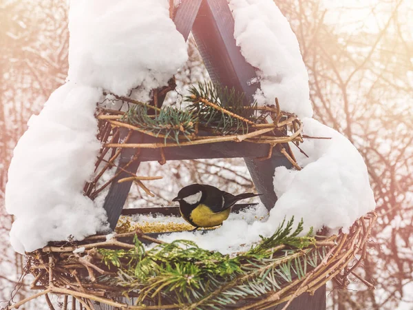 Niedliche Schöne Vögel Einem Weidenfutterhäuschen Aus Nächster Nähe Freien Tageslicht — Stockfoto