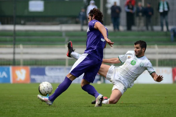 Kaposvar - ujpest soccer oyunu
