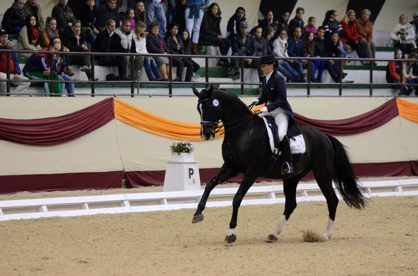 Dressage world cup — Stock Photo, Image