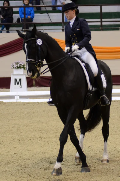 Dressage world cup — Stock Photo, Image