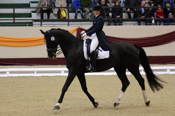 Dressage world cup — Stock Photo, Image