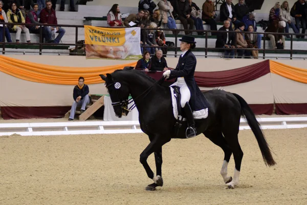 Dressage world cup — Stock Photo, Image