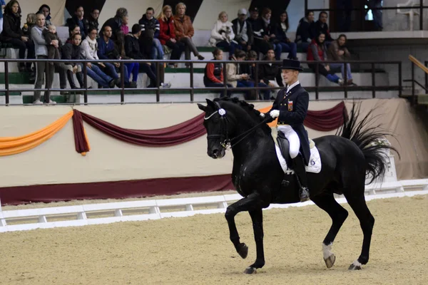 Dressage world cup — Stock Photo, Image