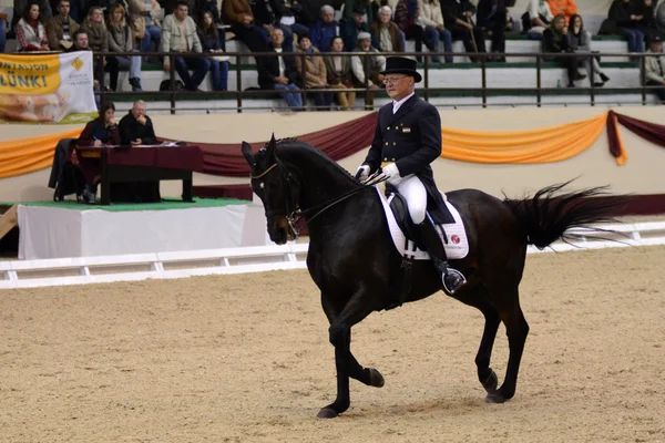 Coppa del mondo di Dressage — Foto Stock