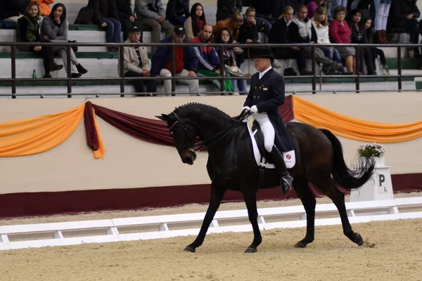 Dressage world cup — Stock Photo, Image