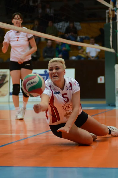 Kaposvar - bse volleybal oyunu — Stok fotoğraf