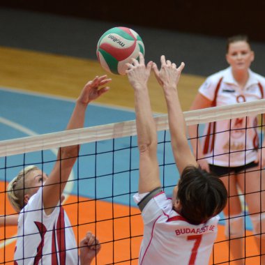 Kaposvar - bse volleybal oyunu